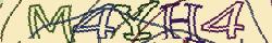 Retype the CAPTCHA code from the image